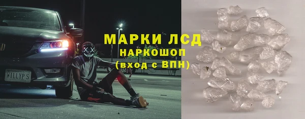 ГАЛЛЮЦИНОГЕННЫЕ ГРИБЫ Верея