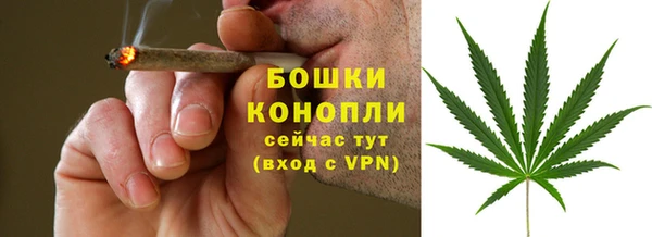 прущие грибы Верхний Тагил
