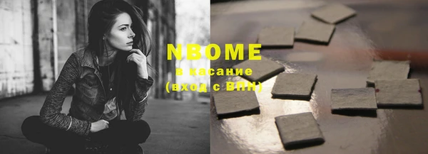 прущие грибы Верхний Тагил