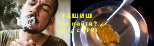прущие грибы Верхний Тагил