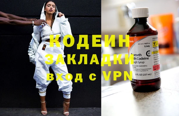 прущие грибы Верхний Тагил