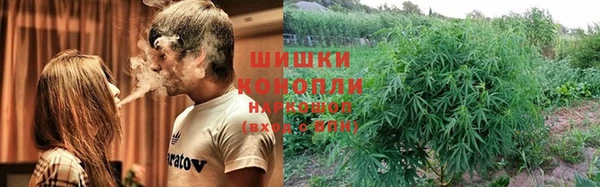 ГАЛЛЮЦИНОГЕННЫЕ ГРИБЫ Верея