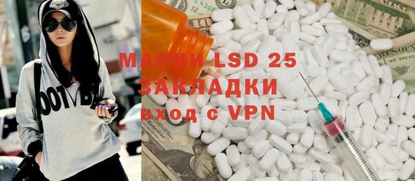 ГАЛЛЮЦИНОГЕННЫЕ ГРИБЫ Верея