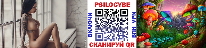 наркошоп  Кострома  Галлюциногенные грибы Cubensis 